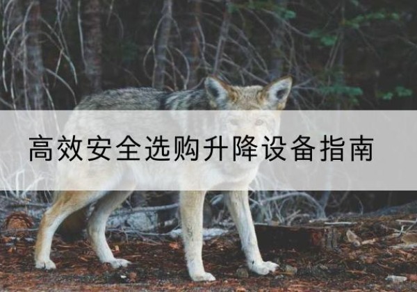 虎丘升降货梯厂家推荐-*安全选购升降设备指南