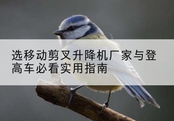 虎丘电动升降机厂家-选移动剪叉升降机厂家与登高车必看实用指南